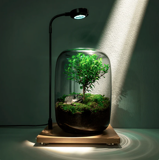TreeVase™ - Tree of Life