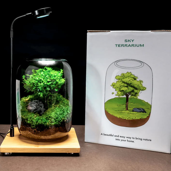 TreeVase™ - Tree of Life